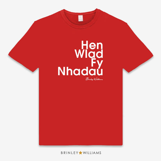 Hen Wlad Fy Nhadau Unisex Kids T-shirt - Fire red